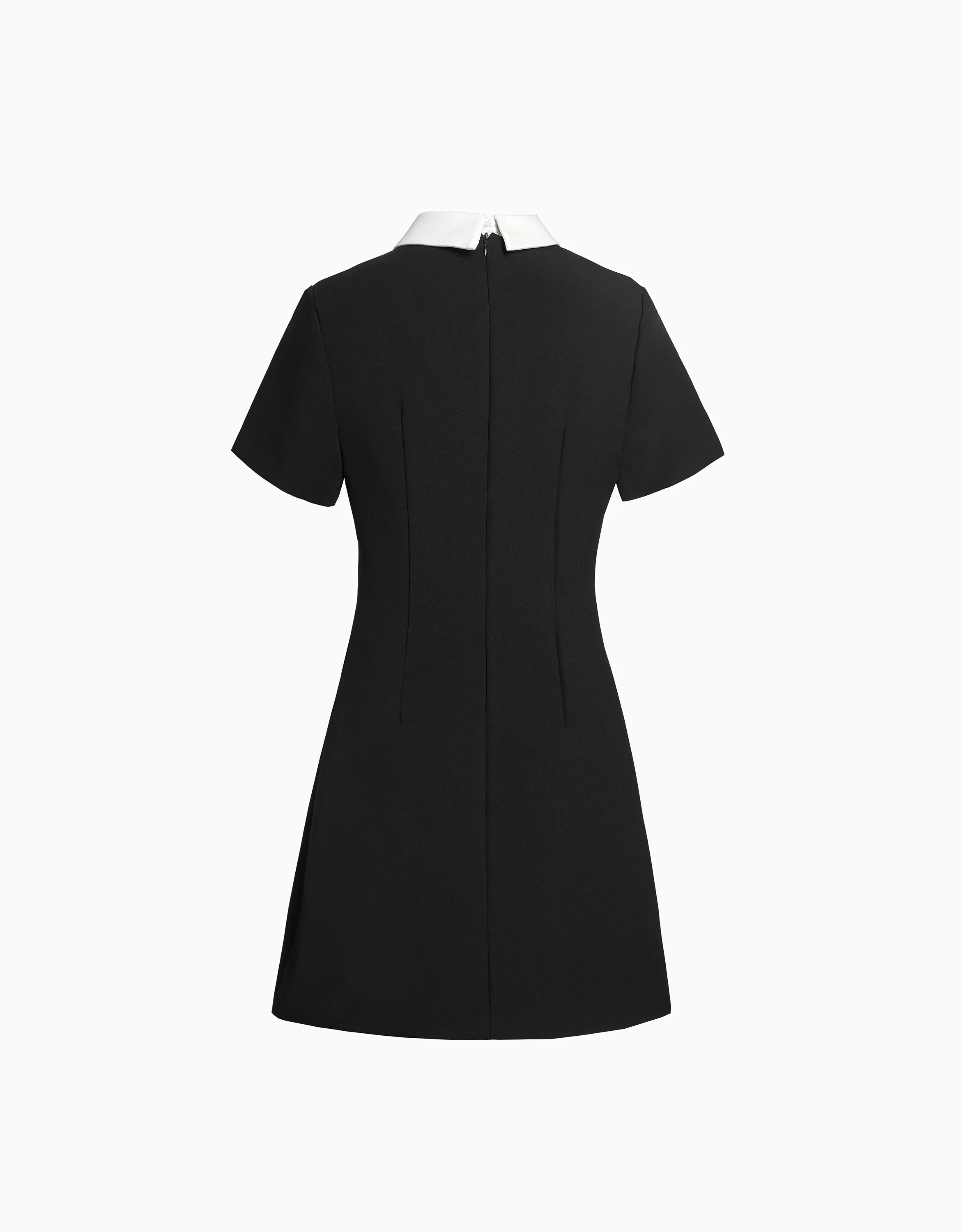 Detachable Collar Short Sleeve Dress - Image 8